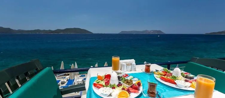 Фото отеля Sardunya Andifli Otel