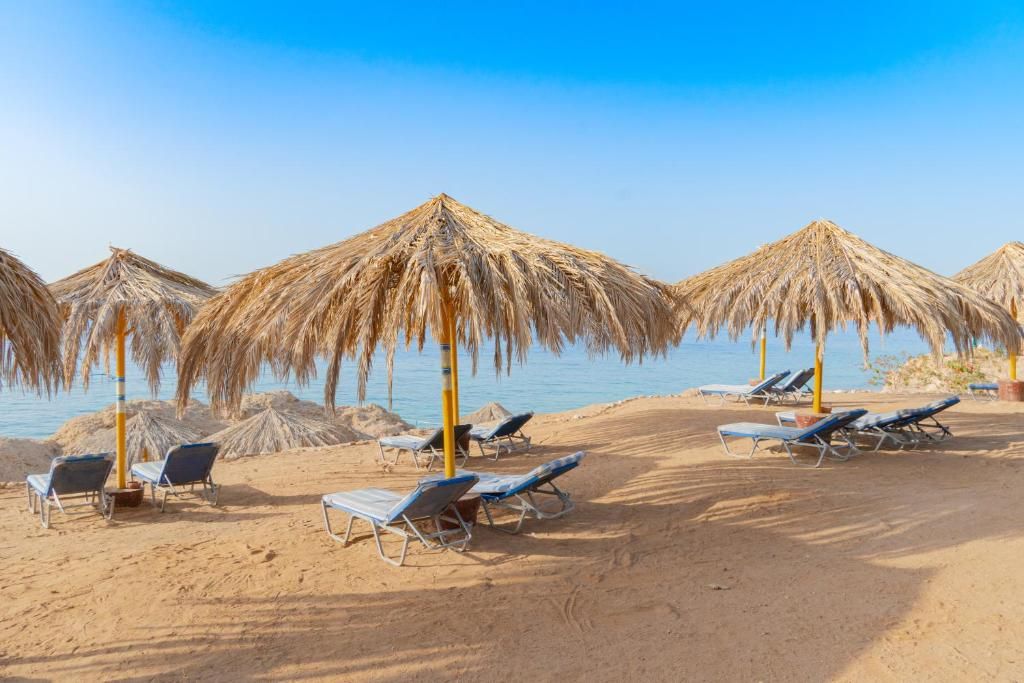 Sharm Club Beach Resort фото 195