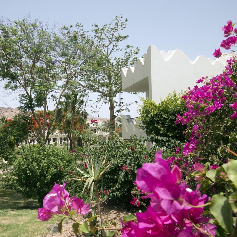 Swiss Inn Resort Dahab фото 87