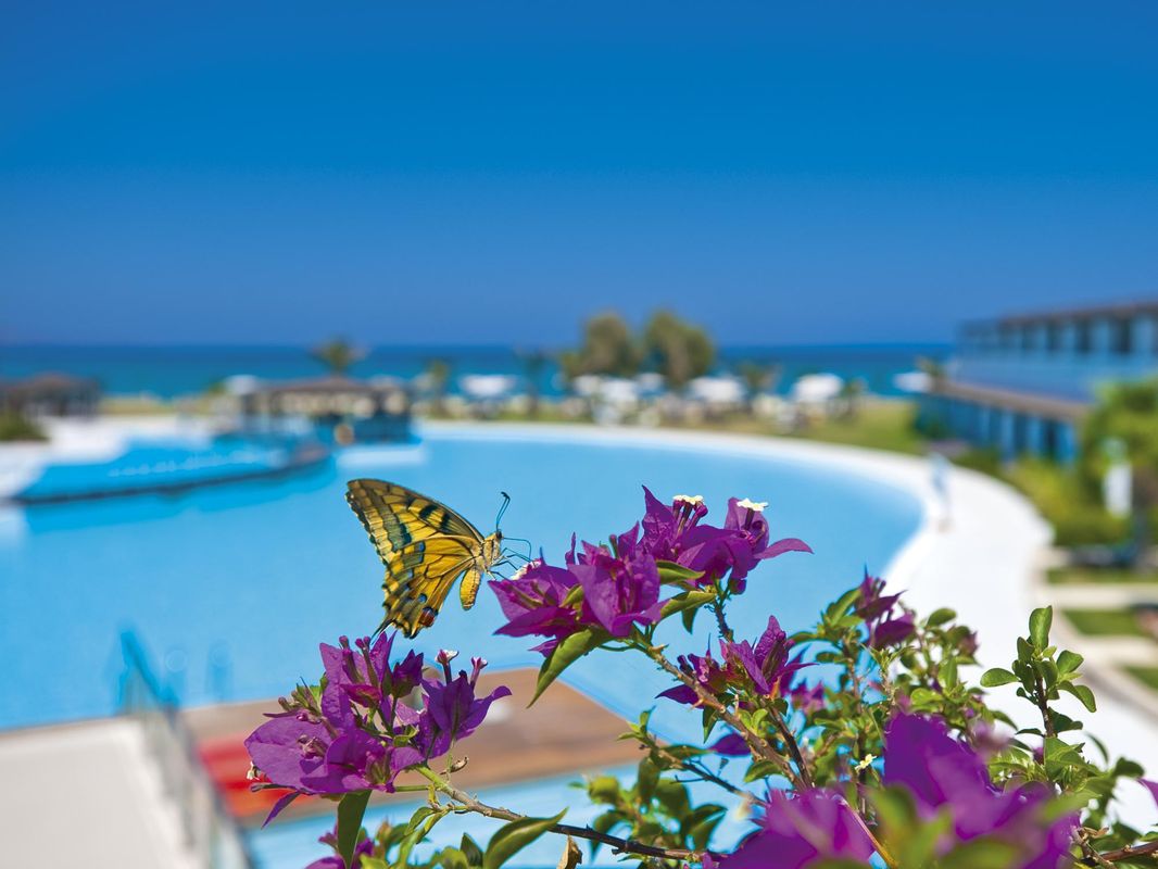 Giannoulis – Cavo Spada Luxury Sports & Leisure Resort & Spa фото 27