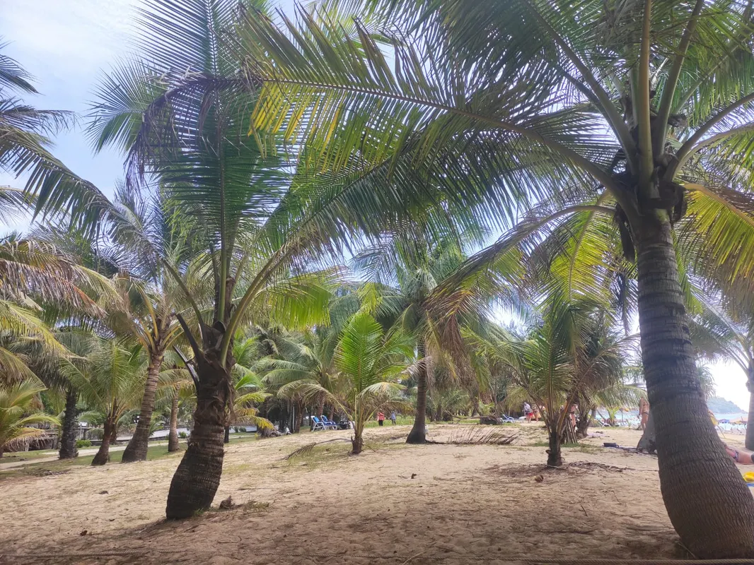 Baumancasa Beach Resort фото 43