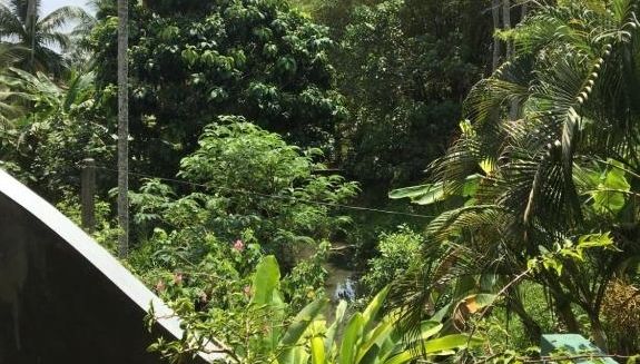 Фото отеля Backpacker Lodge Unawatuna