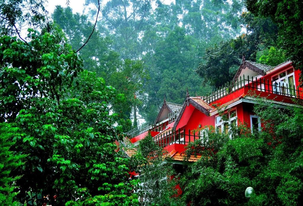 Tea Valley Resort фото 6