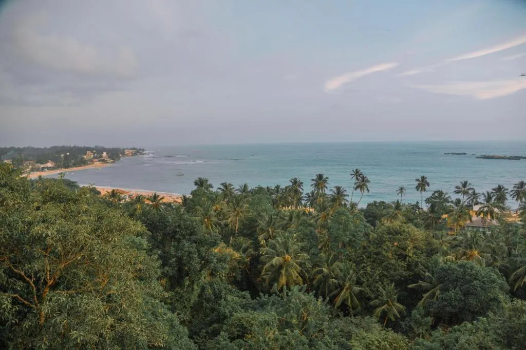 Rock House фото 11