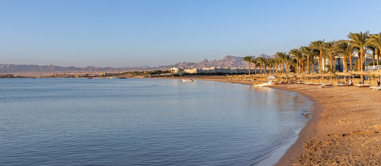 Фото отеля Palm Royale Soma Bay