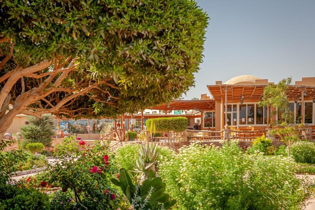 Silver Beach Redsea Resort фото 46