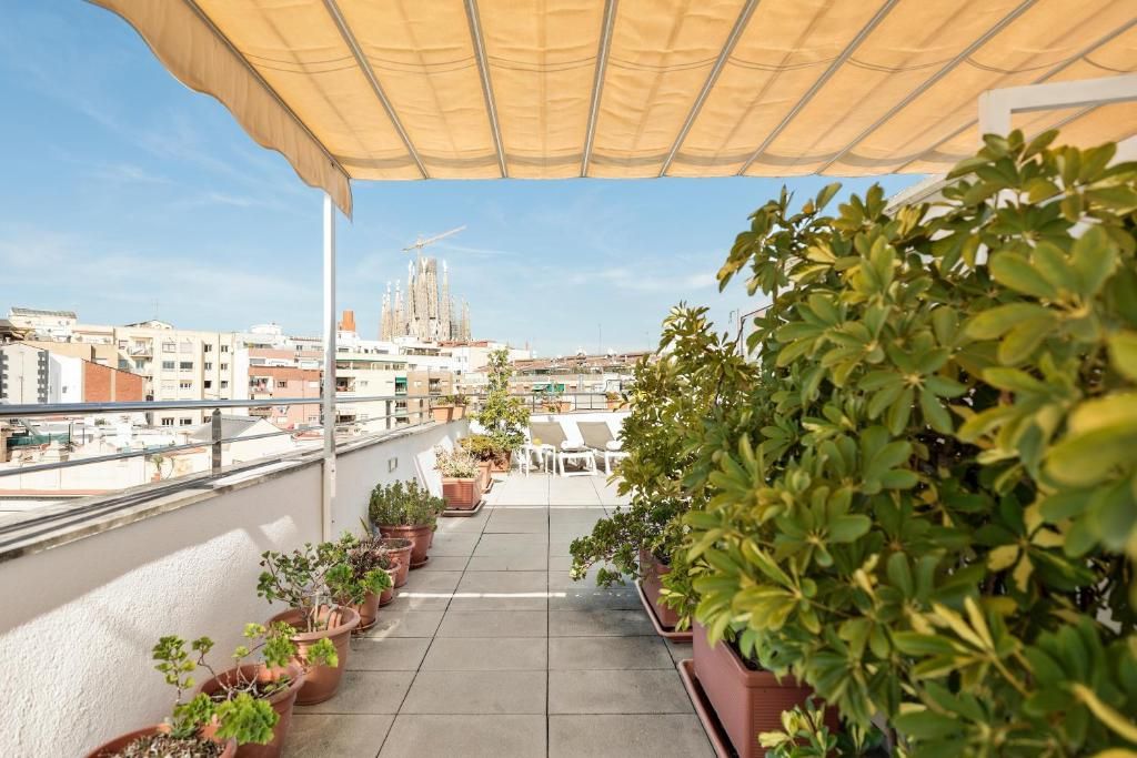 Hotel Aranea фото 31