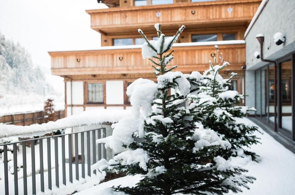Elisabeth Hotel Mayrhofen фото 9