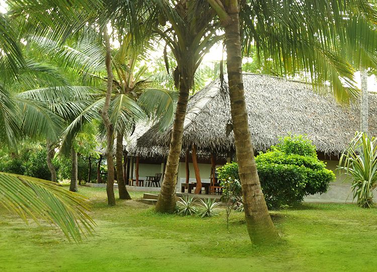 Lagoon Paradise Beach Resort фото 53