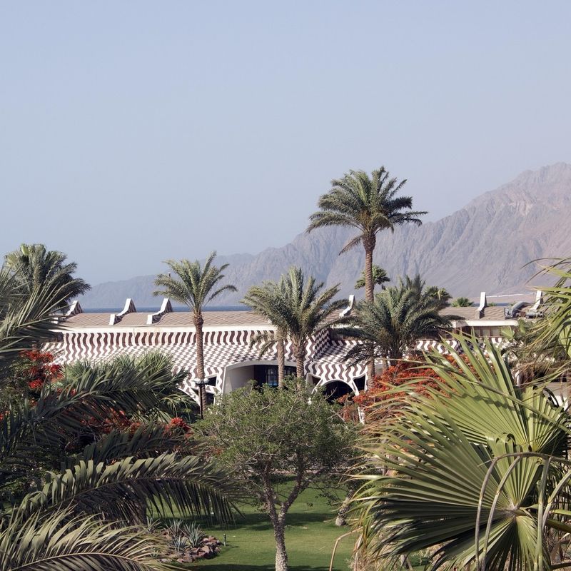Swiss Inn Resort Dahab фото 89