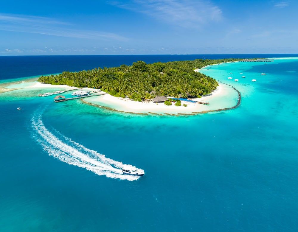 Niva Kuramathi Maldives фото 30