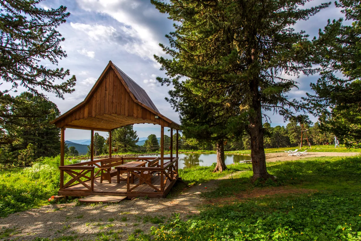 База отдыха «Динамо» фото 5
