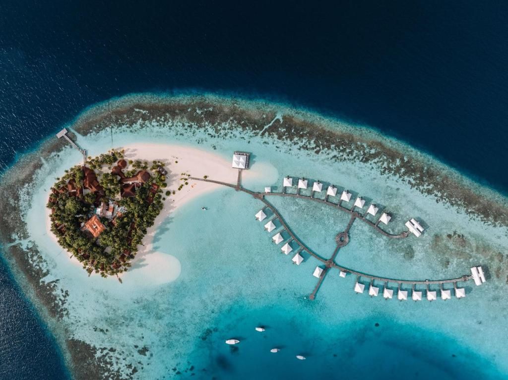 Diamonds Athuruga Maldives фото 27