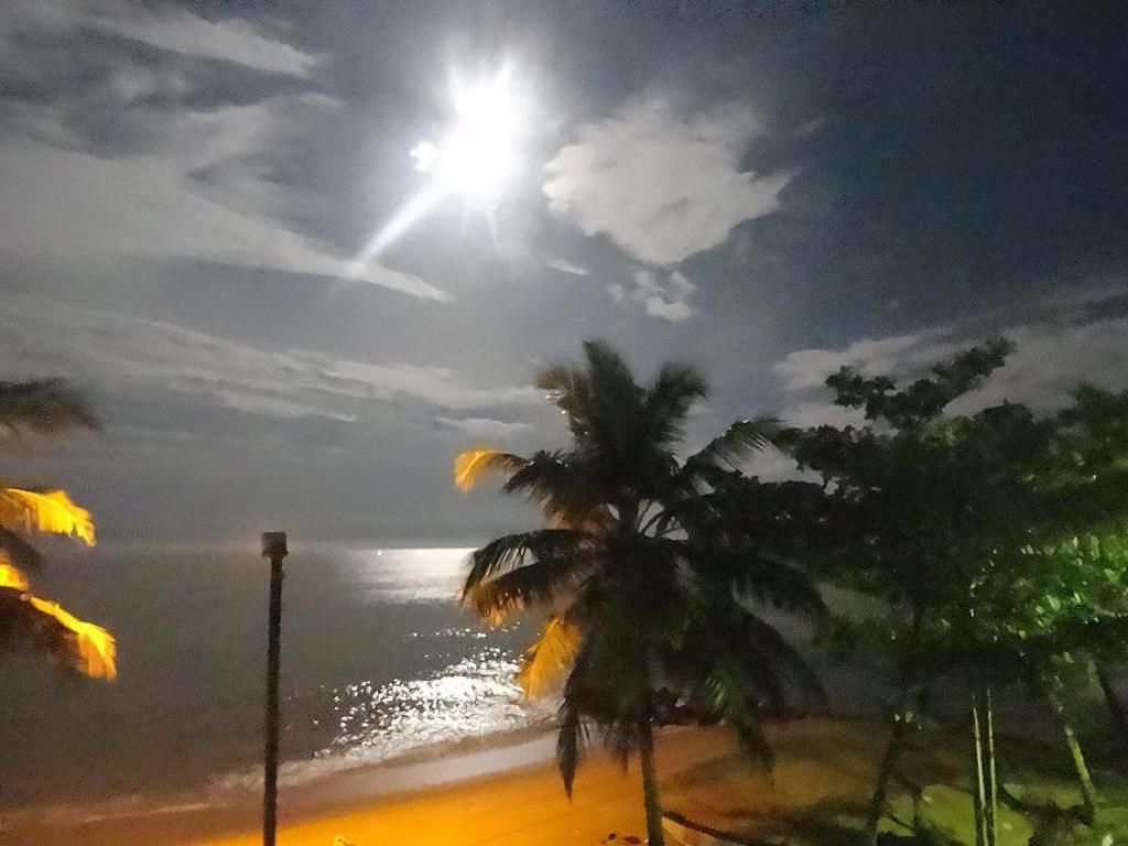 Amssler Beach Stay фото 32