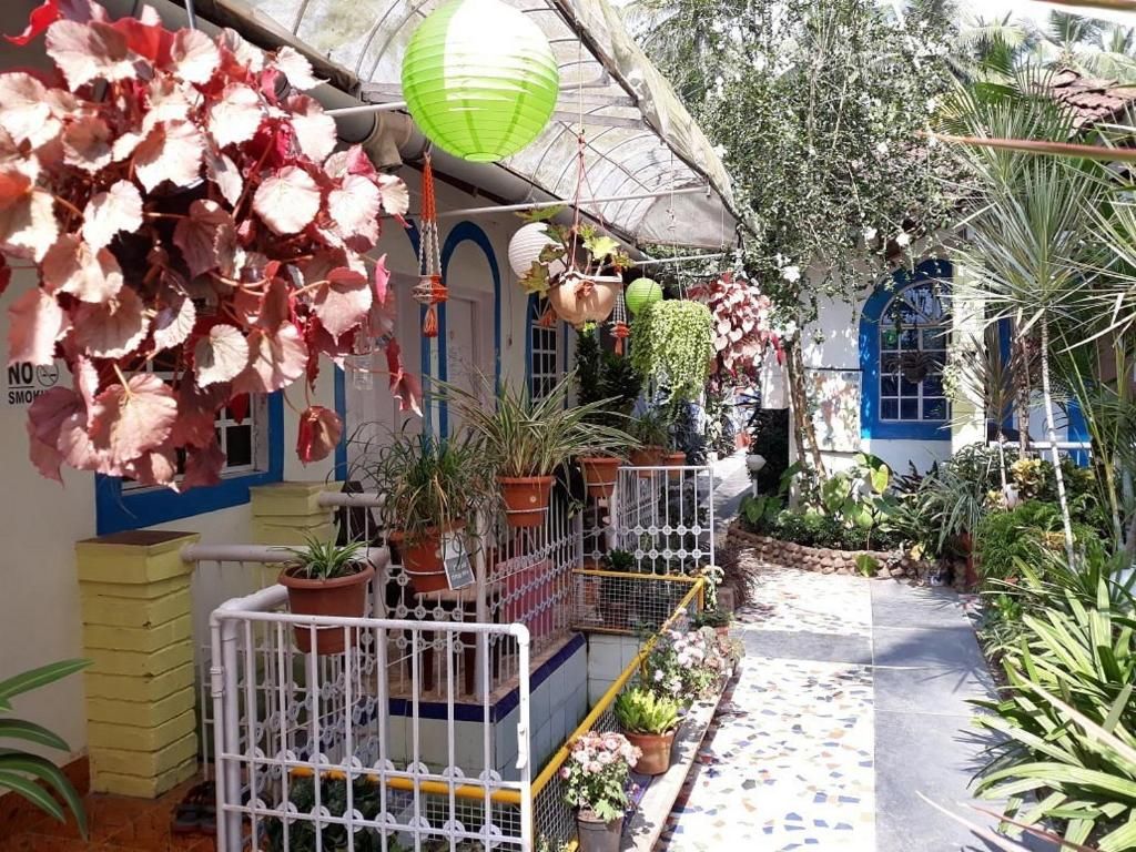 Guest House «Zappia Cove Guesthouse» фото 28