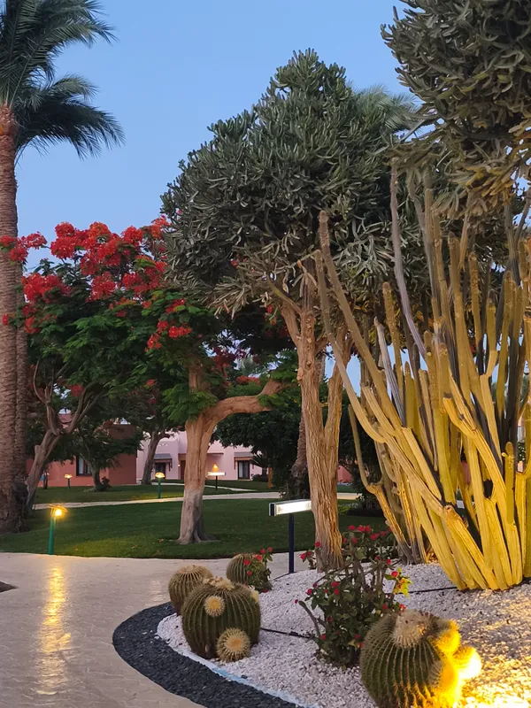 Nubian Village фото 61