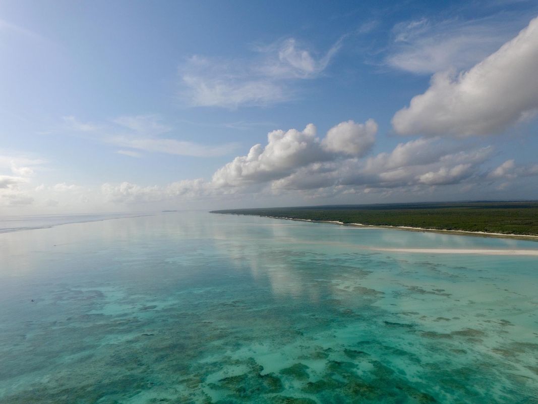 Ras Nungwi Beach фото 11