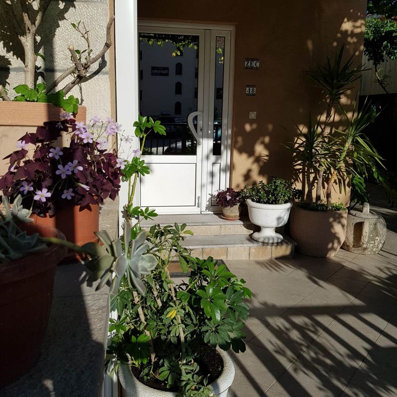 Guest House Zec фото 2