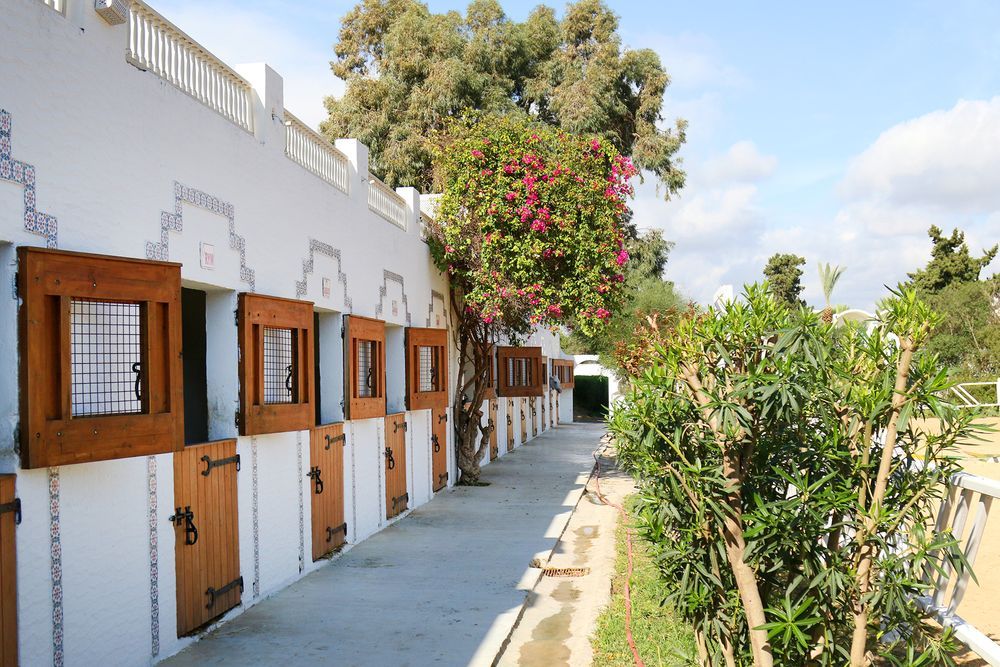 The Orangers Beach Resort and Bungalows фото 52