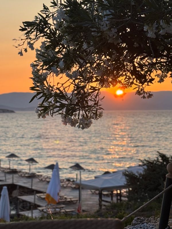 Babaylon фото 11