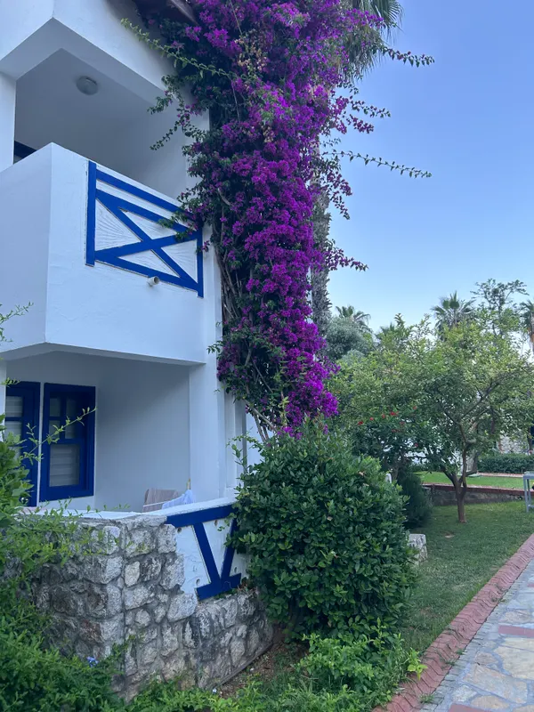 Oludeniz Beach Resort by Z Hotels фото 52