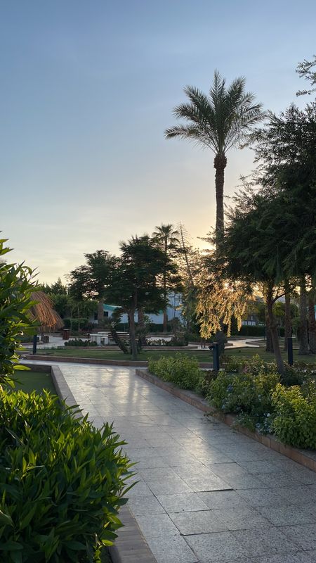 Ghazala Beach Hotel фото 56