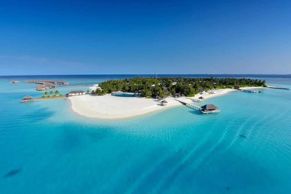 Niva Velassaru Maldives фото 20