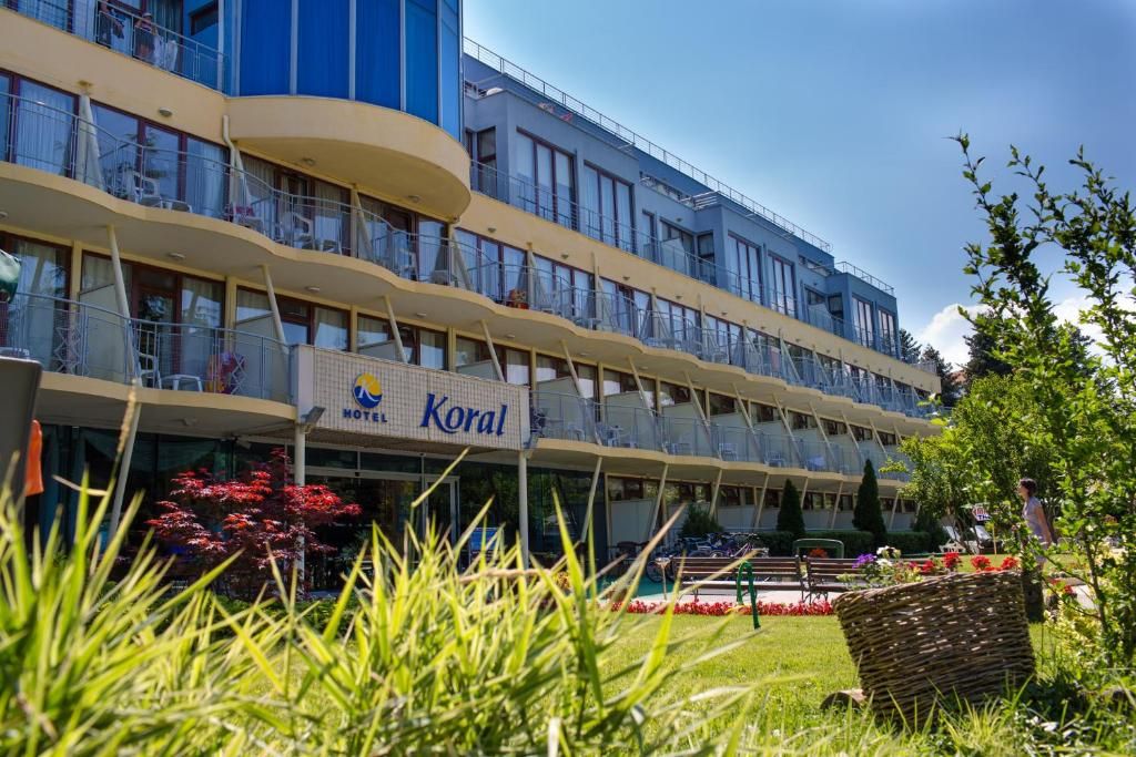 Koral фото 8