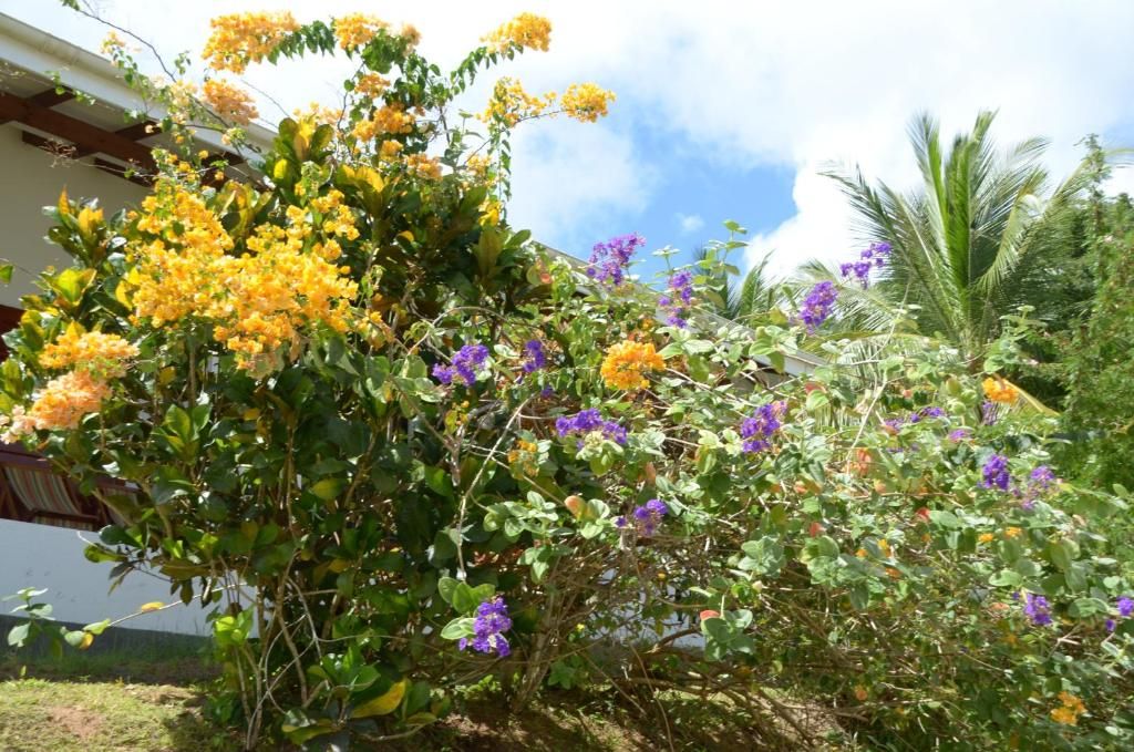 La Residence фото 24