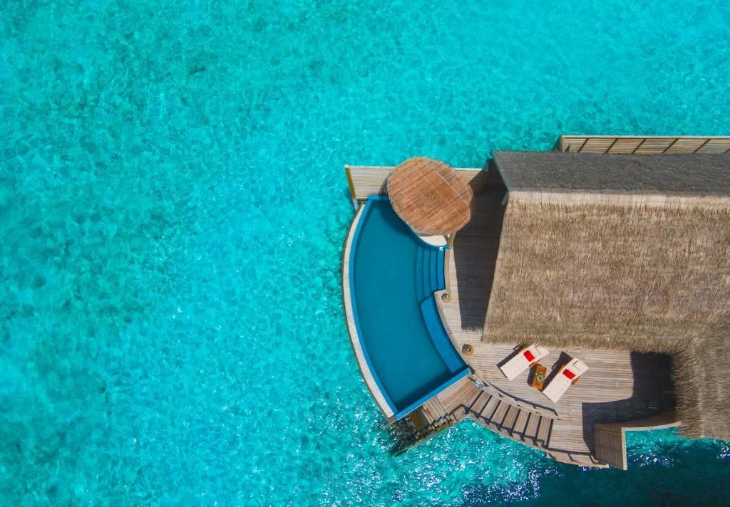 Milaidhoo Island Maldives фото 65