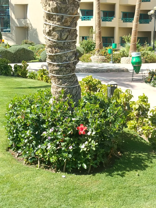 Moreno Horizon Spa & Resort фото 74