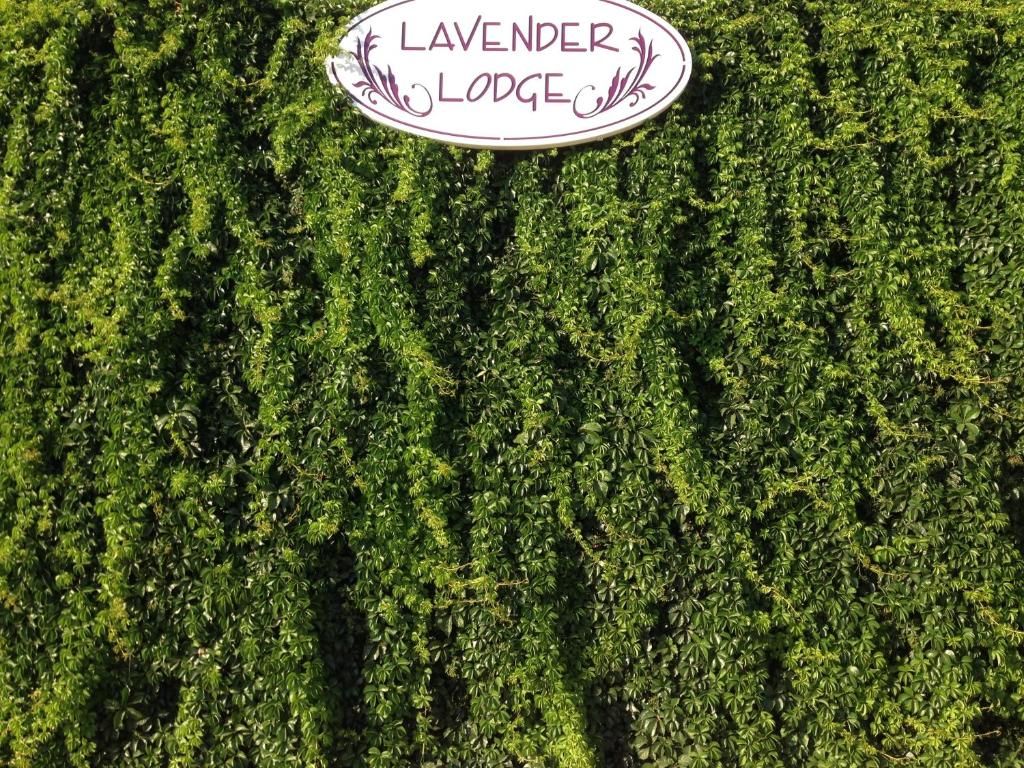 Lavender's Lodge Hotel фото 0