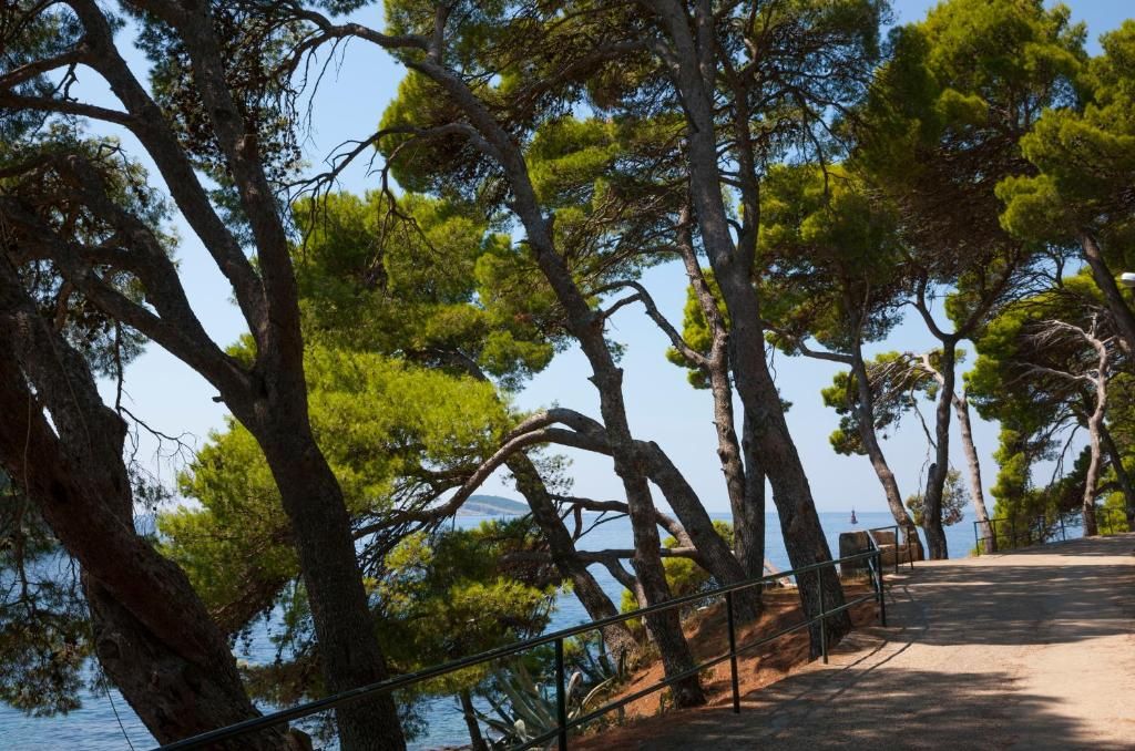 All-inclusive Hotel ALBATROS фото 8
