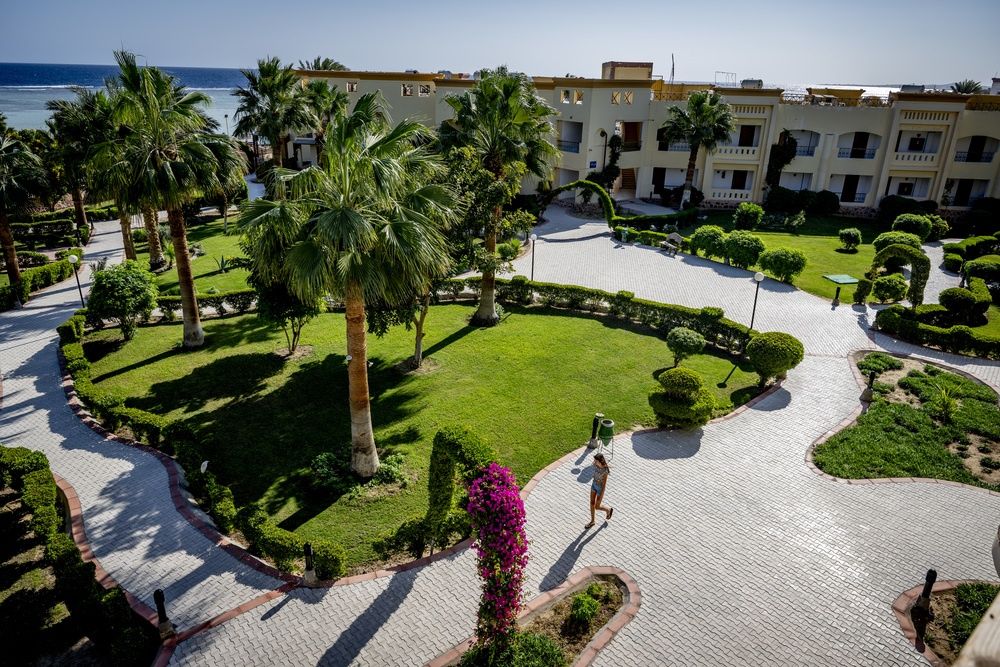 Blue Reef Red Sea Resort фото 34