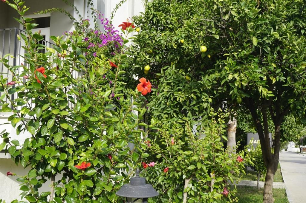 SunLight Garden фото 32