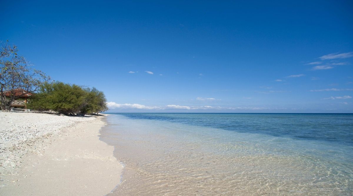 The Beach House Resort фото 62