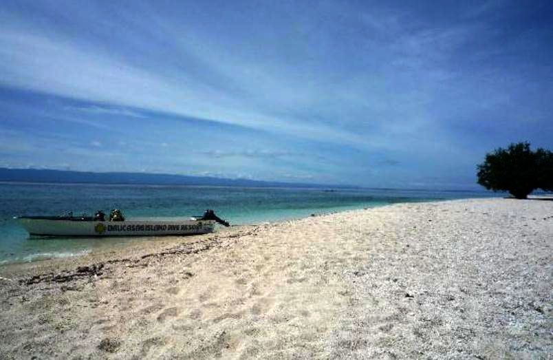 Balicasag Island Dive Resort фото 3