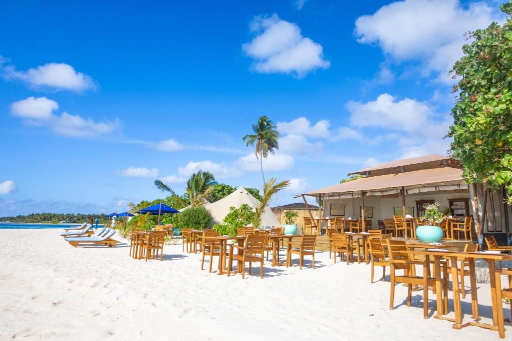 Guest House «The Maverick Surf & Dive Lodge Guest House» фото 10