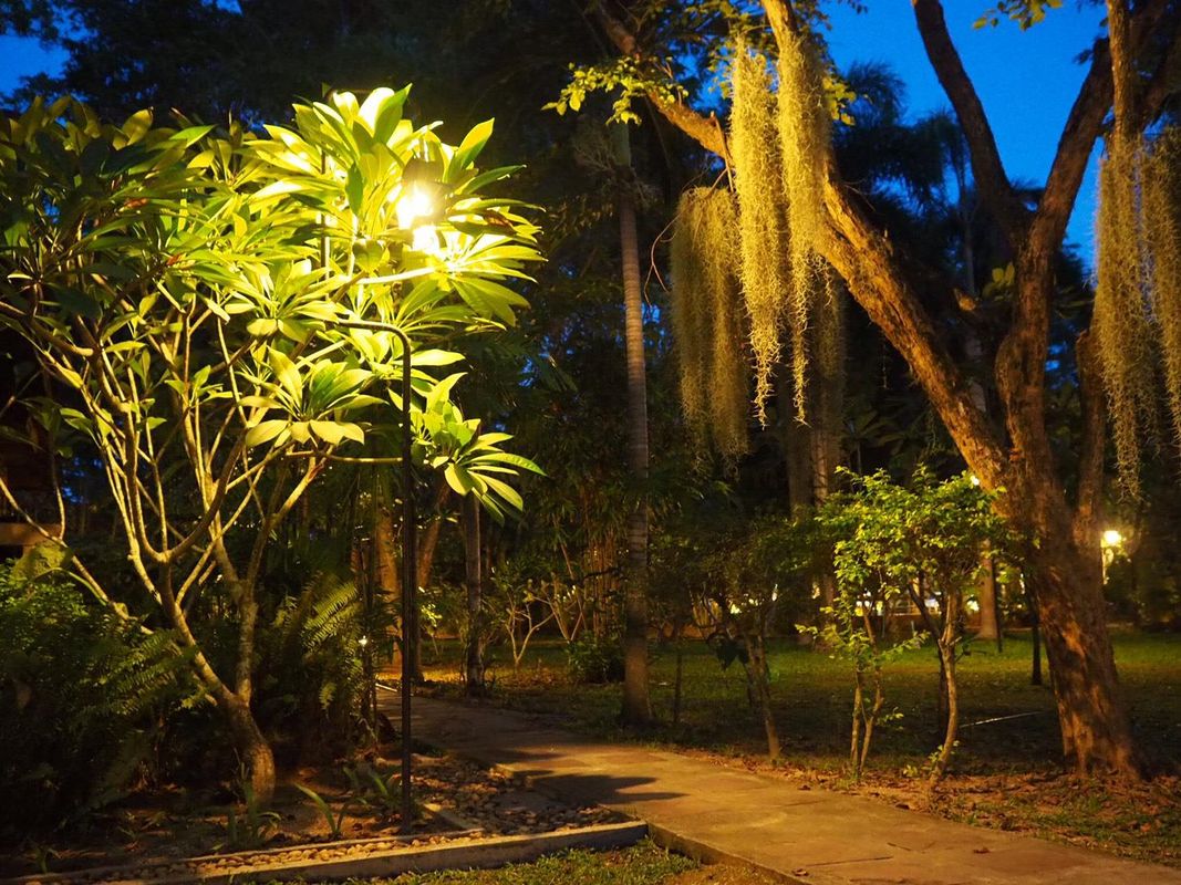 Samui Garden Home фото 10