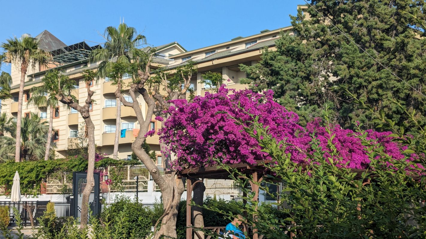 Sun Beach Park фото 61