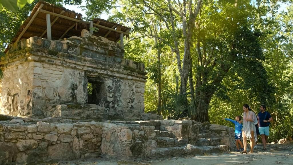 Occidental at Xcaret Destination фото 83