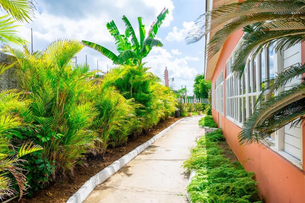 Shields Negril Villas LTD фото 34