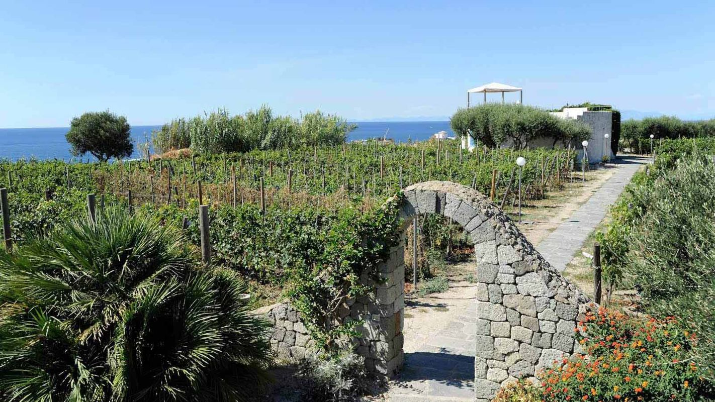 Il Gattopardo Hotel Terme & Beauty фото 35