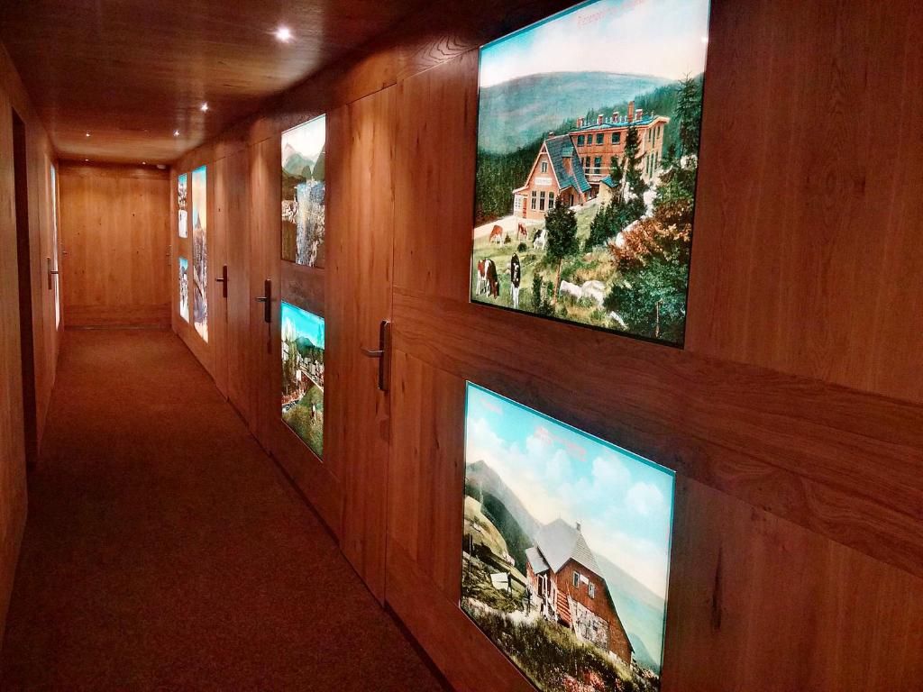 Resident Resort Harrachov & Grotta Spa фото 2