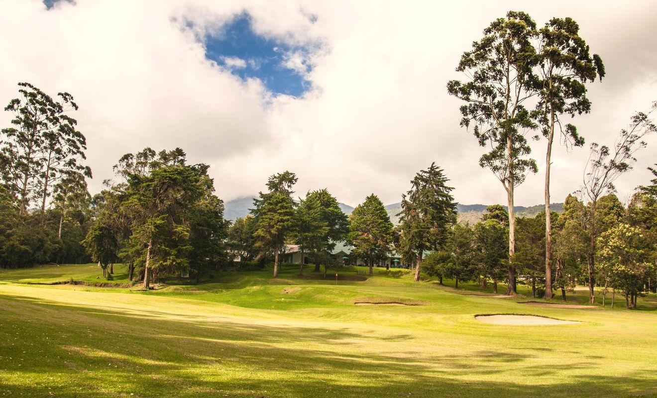 Oakray Summer Hill Breeze фото 8