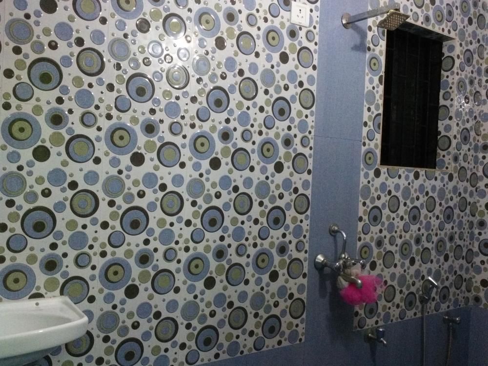 Guest House «The Shekhawat Guest House» фото 32