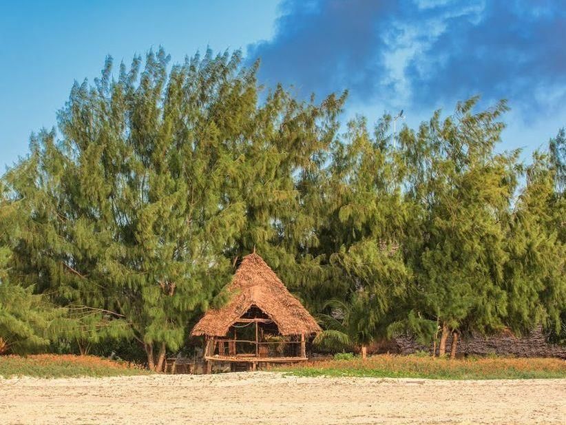 Hakuna Majiwe Beach Lodge фото 28