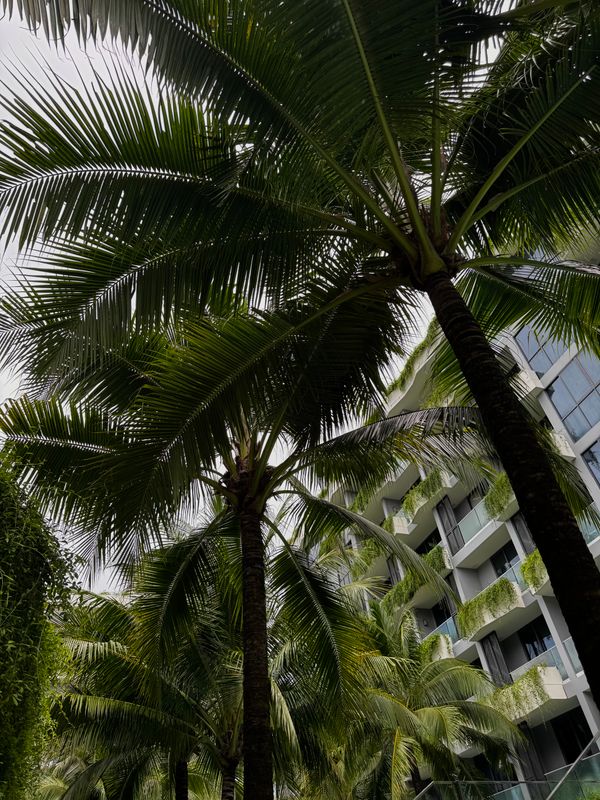 La Green Hotel & Residence фото 48
