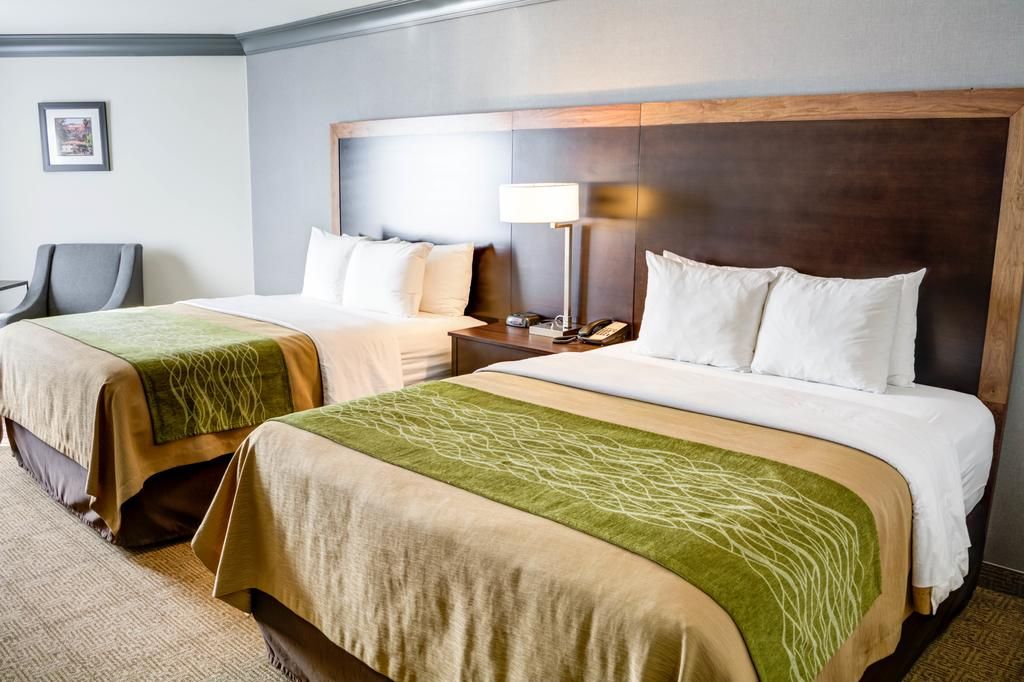 Comfort Inn & Suites Near Universal - North Hollywood – Burbank фото 15