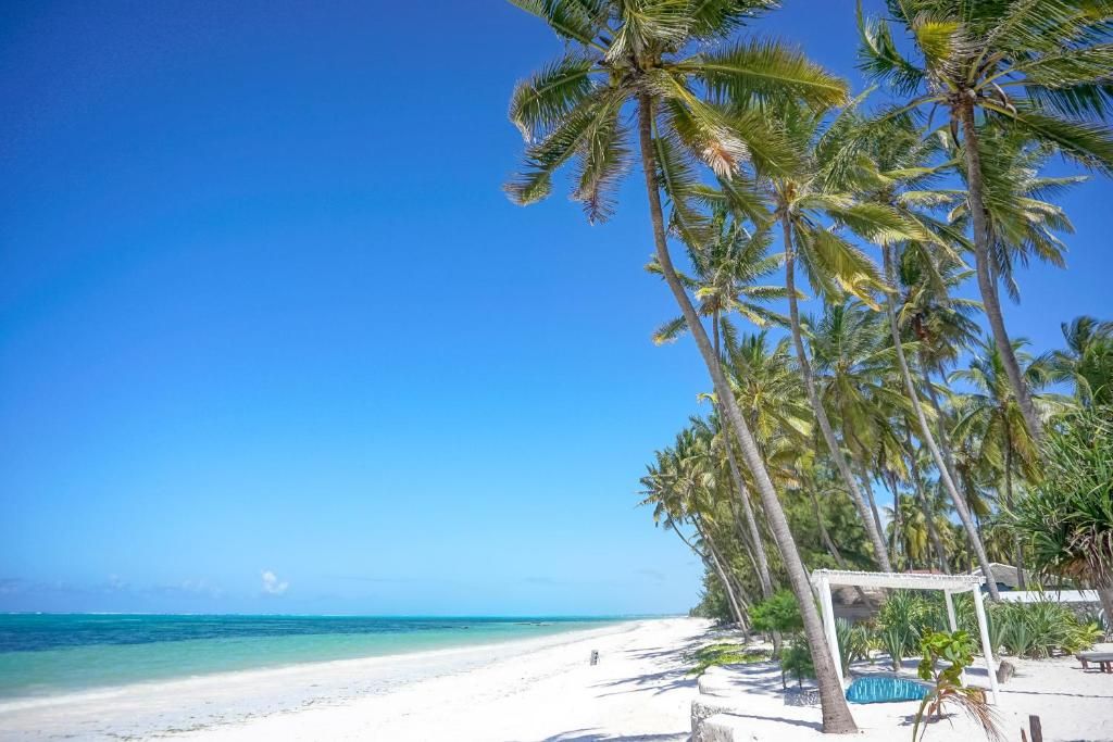 Indigo Beach Zanzibar Hotel фото 54